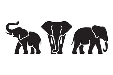 Obraz premium Three black silhouettes of elephants walking in a linear arrangement