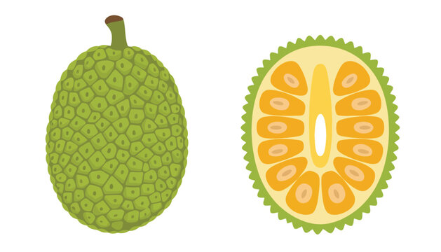 A green gac fruit vector illustration with a cut open section