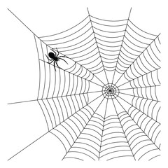 Obraz premium Silhouette of a spider on a detailed, radial spiderweb against a white background