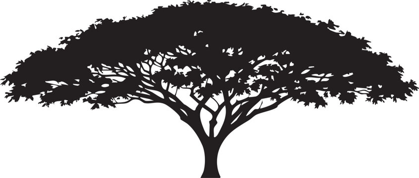 Royal Poinciana Wide Umbrella Canopy Silhouettes