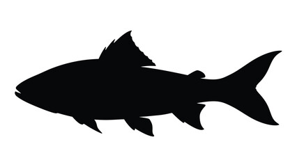 Detailed analysis of a fish silhouette: a study of aquatic life forms and biological characteristics © JASMIN