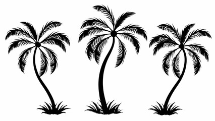 Obraz premium A minimalist black silhouette of three palm trees on a white background