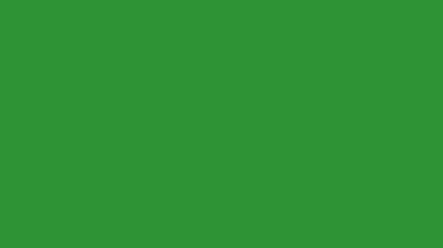 Hand-Drawn Wrong Mark Animation Video | 2D Animated Cross Doodle Element | Playful White Pencil Style X Sign on Green Screen