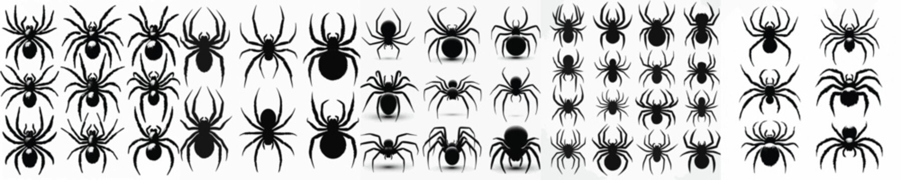 Vector set image silhouette of spider