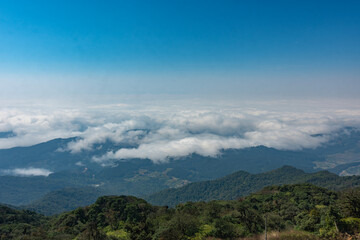 Fototapeta premium Rolling forested mountain slopes stretch endlessly under a deep blue sky, thick white clouds hugging the hillsides in soft billowing layers.