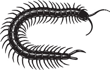 Fototapeta premium A black and white drawing of a centipede on a white background