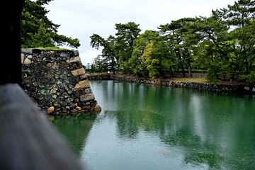 Fototapeta premium 高松城跡地玉藻公園の松の木とお濠