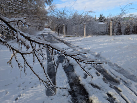 Frozen tree branch covered in thick ice and icicles. Winter landscape with snow covered road. Glazed frost after freezing rain. Selective focus on icy branch in winter.