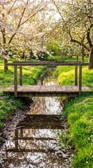Small wooden bridge over a stream surrounded by blooming cherry blossom trees.