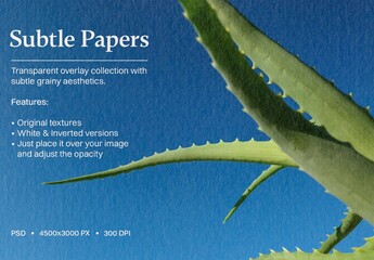 B&W Subtle Paper Overlays