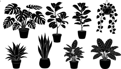 black potted plants on white background for decoration and design © Pixel Verses