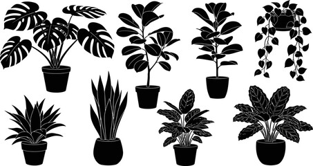 set of various houseplants in pots for decoration and interior design © Pixel Verses