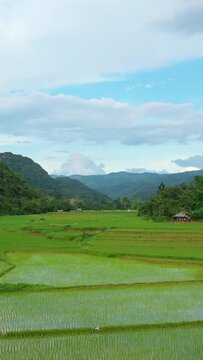 Vibrant green rice paddies stretch across a rural valley surrounded by forested hills and distant mountains near Muang Ngoi, Laos. Traditional wooden huts dot the serene landscape under a bright blue