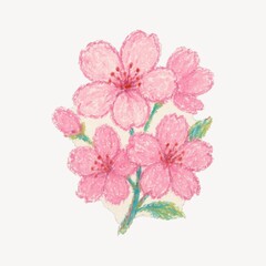 Fototapeta premium Delicate pink cherry blossoms illustration.