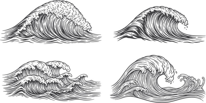 Hand drawn vintage vector illustration of sea shells and animals in a black ink sketch style for nature patterns or tattoo art design