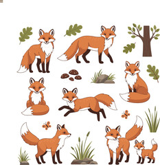 Obraz premium Cute Fox Cartoon Character Set Forest Wildlife Animal Collection with Sitting Walking Running and Baby Fox Vector Illustration