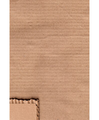Piece of torn cardboard on a white background. Torn cardboard isolate. pedazo de carton arrugado