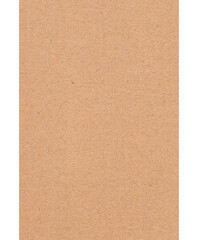 Piece of torn cardboard on a white background. Torn cardboard isolate. pedazo de carton arrugado