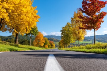 Obraz premium Serene Scenic Road Surrounded by Vibrant Autumn Trees in a Beautiful Countryside Landscape