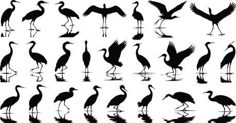 Obraz premium heron, crane, bird, silhouettes, black, wading, birds, wildlife, nature, water, marsh, collection, flying, standing, wings, animal, isolated, design, minimal, vector