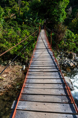Obraz premium Rustic wooden suspension bridge crossing a flowing river surrounded by lush tropical jungle and vibrant green foliage in the Chiriqui highlands of Panama - stock photo