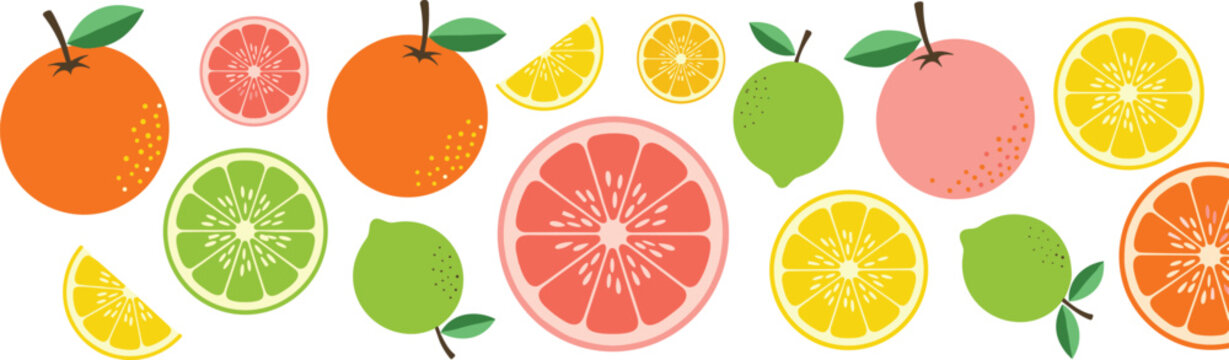 Citrus Fruit Vector Illustration Set with Oranges, Lemons, Limes, and Grapefruit for Fresh, Healthy, and Food-Themed Designs