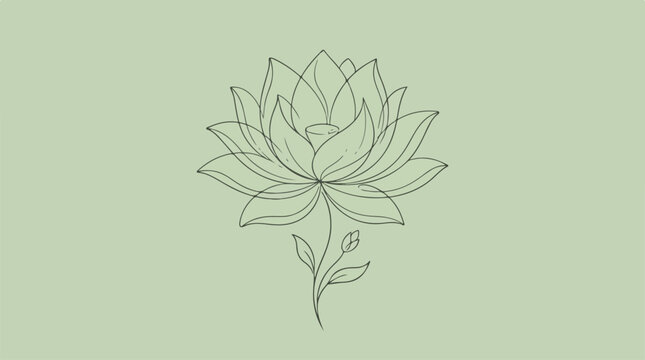 Elegant line art of a blooming lotus flower on a soft green background.