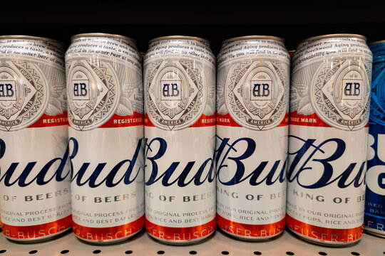 Budweiser beer cans on display in a convenience store shelves in the afternoon light