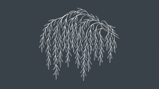 Elegant weeping willow tree illustration on a dark background, artistic design.