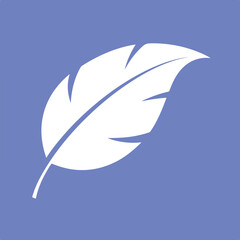 vector illustration of feather