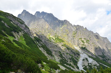 Fototapeta premium Beautiful mountain landscape with green trees under bright daylight, captured during summer in the High Tatras.