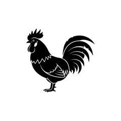 rooster isolated on white background © Salman