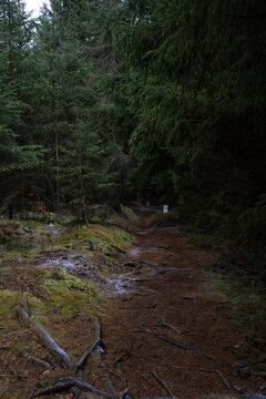 Grenzwanderweg zwischen Deutschland und Tschechien bei Neusalza- Spremberg in Sachsen 3