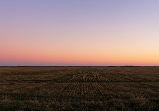 A wide panoramic landscape featuring the clear demarcation line of the horizon, where endless open fields meet a vast, pastel-colored seasonal sky at sunrise ,background ,outdoor ,change