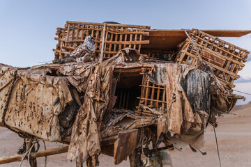 Pigeon sitting on wooden cages used for birds in Bedouin desert camp Egypt