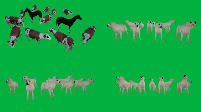 A group of dogs on green screen and herd sheep animated chromakey background figure frame gesture composition layers motion elements colorful creative expression movement depth design