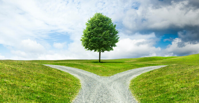 Crossroads on a path through a hilly landscape