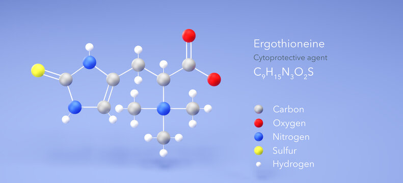 ergothioneine molecule, molecular structure, cytoprotective agent 3d model, Structural Chemical Formula and Atoms with Color Coding