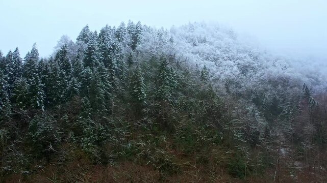 Peaceful winter landscape featuring a misty mountain covered with snow and dense forest. Cinematic nature scenery with frosty trees, foggy atmosphere, and tranquil wilderness during the cold winter se