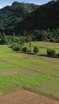 Aerial view of green agricultural fields bordered by trees and hills in the Lao countryside. The scene captures the natural beauty and tranquility of rural Laos.