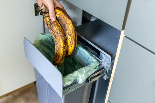 A housewife throwing tainted bananas into a garbage bin in kitchen. Waste separation concept