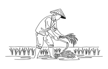 Fototapeta premium Single one line drawing of young male farmer was harvesting rice and there was also rice that had been tied up. 