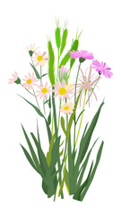 Fototapeta premium PNG Wildflower bouquet flowers art illustration.