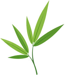 Obraz premium Delicate green bamboo leaves gently sway on a thin stem against a pure white background