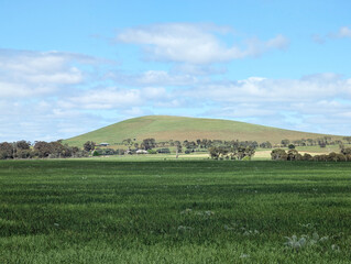 Fototapeta premium A view across the Moorlort Plains towards Bald Hill in central Victoria, Australia.