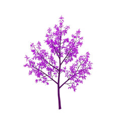 Obraz premium A vibrant purple tree with flowers on transparent background
