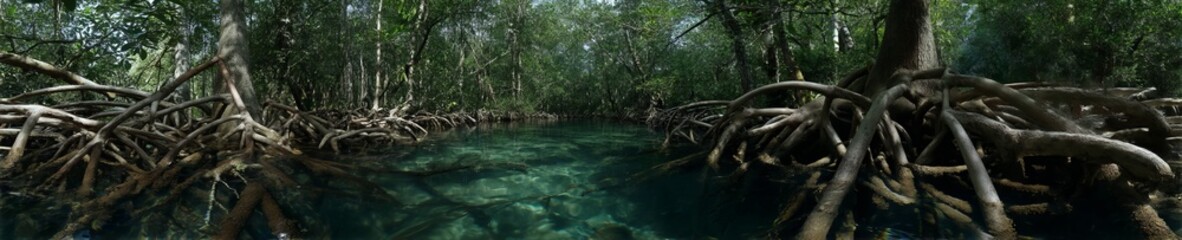 Exploring mangroves a serene waterway adventure in nature's lush green environment