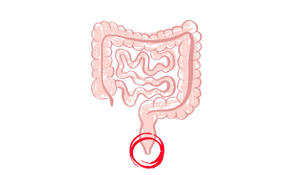 Human Organs Sketch