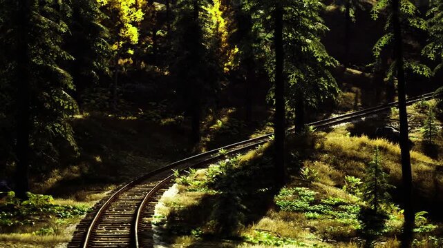 Sunlit forest railway curving through misty pine grove, warm golden beams filtering through canopy, mosscovered sleepers and rusted iron rails, deep shadows