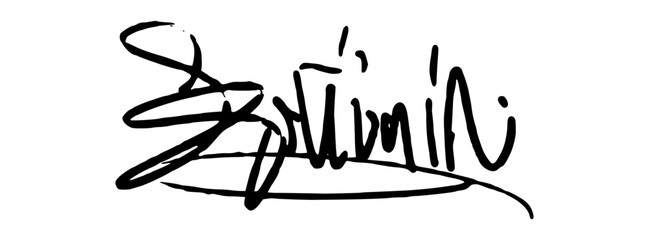 Obraz premium Artistic Hand Drawn Signature Illustration with Unique Fluid Cursive Lines for Personal Identity and Branding.